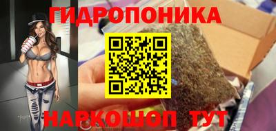 твердый Заводоуковск