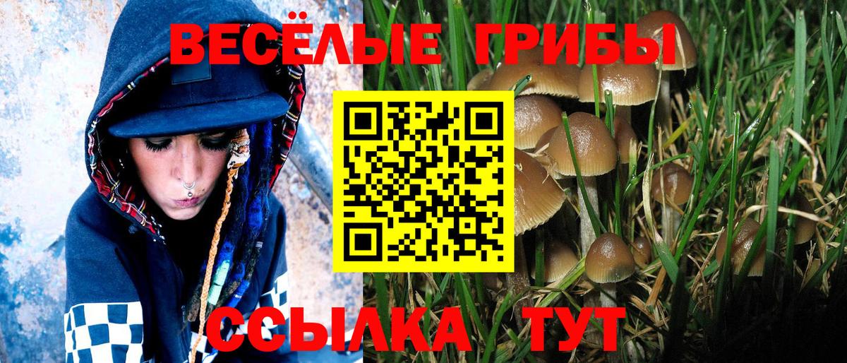 Галлюциногенные грибы Psilocybine cubensis Йошкар-Ола