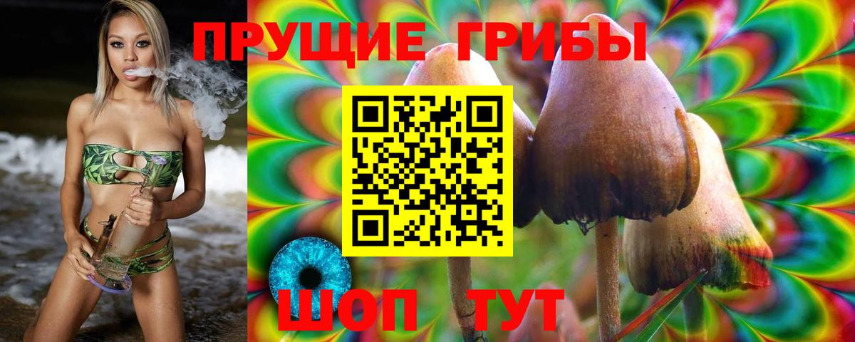 Йошкар-Ола  Галлюциногенные грибы Cubensis  Вход с VPN  Псилоцибиновые грибы MAGIC MUSHROOMS 