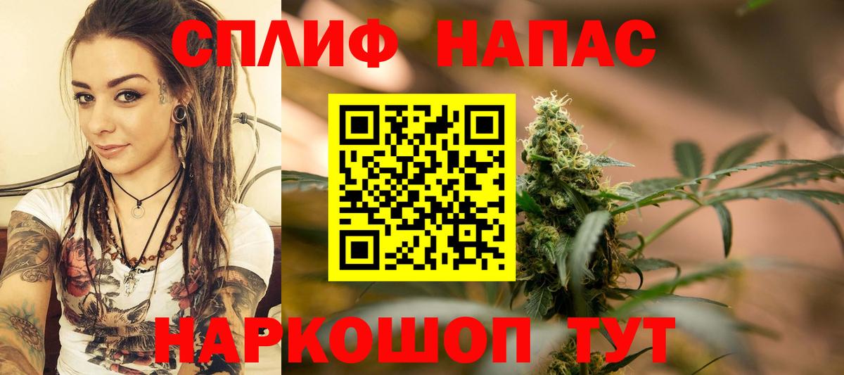 Йошкар-Ола  Бошки Шишки семена  Канабис Bruce Banner  Каннабис Bruce Banner  Вход с VPN 